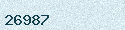 Visual Confirmation Security Code